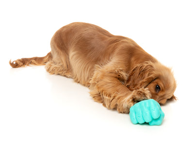 Fuzzyard Treat Dispensing Interactive Dog Chew Toy (Knuckle Sandwich)