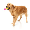 Fuzzyard Treat Dispensing Interactive Dog Chew Toy (Chill Pill)
