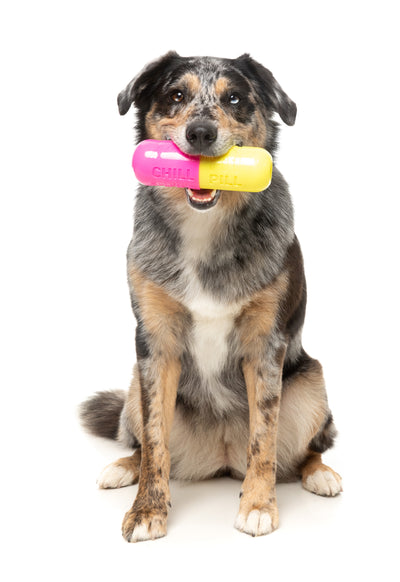 Fuzzyard Treat Dispensing Interactive Dog Chew Toy (Chill Pill)