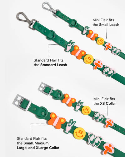 Wild One Leash & Collar Flair Charms Pack (Groovy)