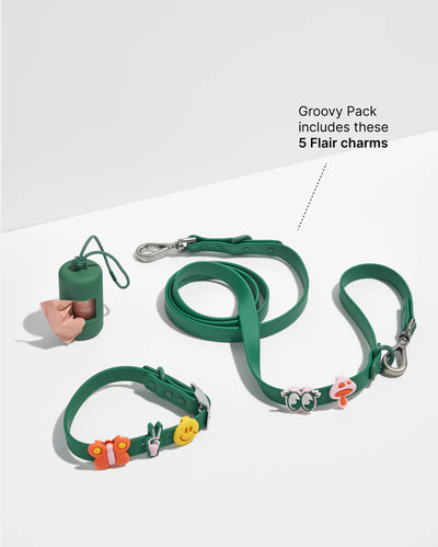 Wild One Leash & Collar Flair Charms Pack (Groovy)