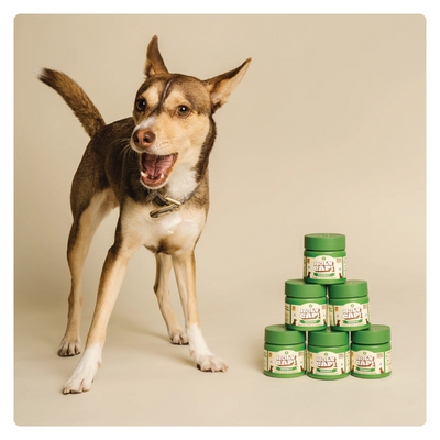 Holy Cap Medicinal Mushroom Supplement for Dogs (Immunity)