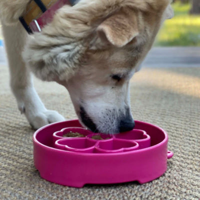 SodaPup Enrichment Slow Feeder Bowl For Dogs (Round / Pink Flower)