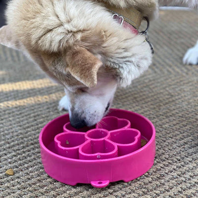 SodaPup Enrichment Slow Feeder Bowl For Dogs (Round / Purple Flower)