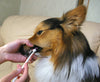 Mind Up Kenko Care Toothbrush for Dogs (Round Head)