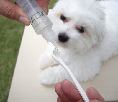 Mind Up Kenko Care Toothbrush Kit D for Dogs (Cylinder Head)