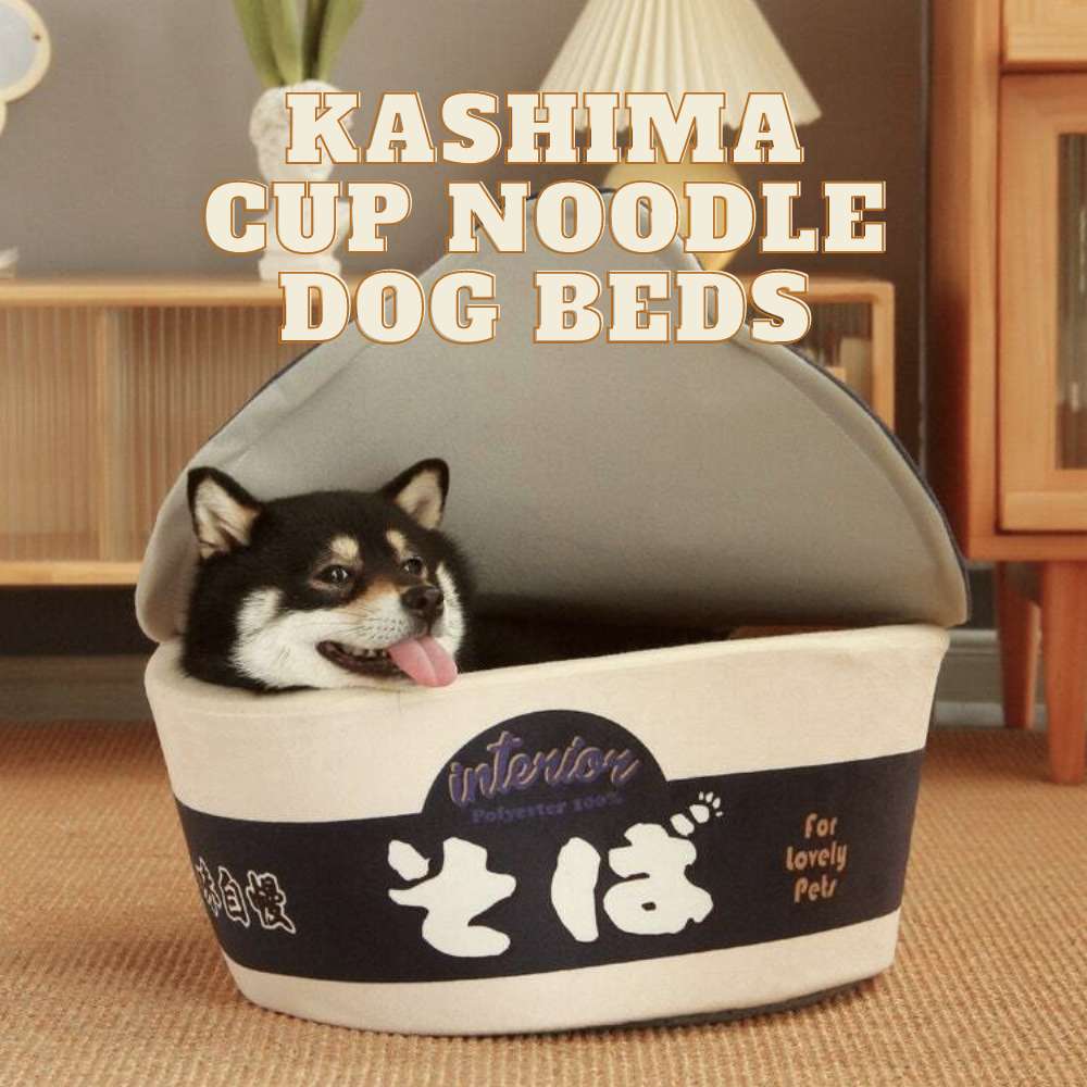 Singapore's Best Online Pet Shop Dog Store Online Good Dog People