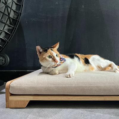 Zest Livings Bespoke Crafted Bed For Dogs & Cats (Mara)