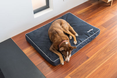 Red Dingo Premium Mattress Dog Bed (Marine)