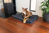 Red Dingo Premium Mattress Dog Bed (Marine)