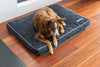 Red Dingo Premium Mattress Dog Bed (Marine)