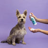 Earthbath Hypoalergenic Bilberry & Blueberry Foaming Facial Wash for Dogs and Cats