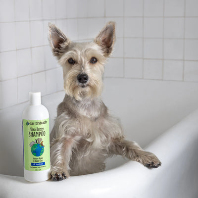 Earthbath Hypoallergenic Moisture Repair & Dander Care Shea Butter Shampoo for Dogs and Cats