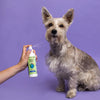 Earthbath Hypoallergenic Moisture Repair & Dander Care Shea Butter Spray for Dogs and Cats