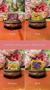 Providog Pup Frozen Snowskin Mooncake For Dogs