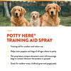 NaturVet Potty Here Potty Training Aid Spray for Dogs