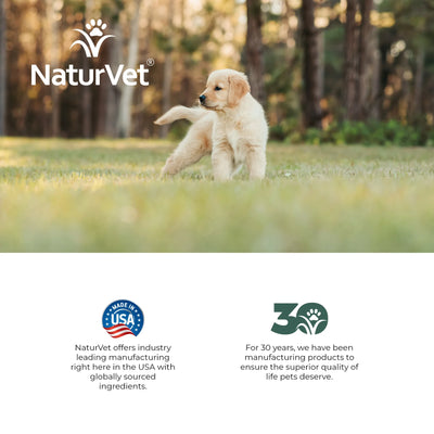 NaturVet Potty Here Potty Training Aid Spray for Dogs