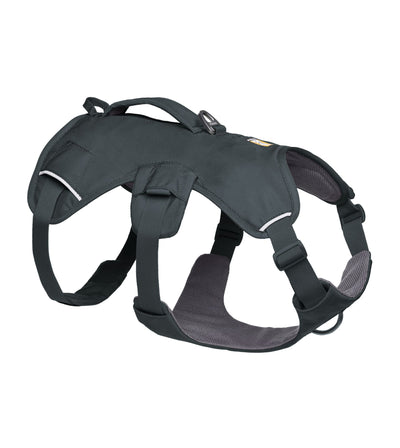 Ruffwear Web Master™ Dog Harness with Neck Buckle and Handle (Basalt Gray)