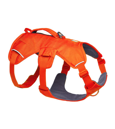 Ruffwear Web Master™ Dog Harness with Neck Buckle and Handle (Blaze Orange)