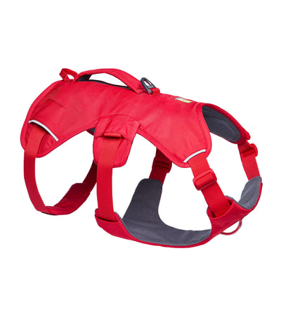 Ruffwear Web Master™ Dog Harness with Neck Buckle and Handle (Red Canyon)
