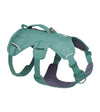 Ruffwear Web Master™ Dog Harness with Neck Buckle and Handle (River Rock Green)