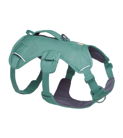 Ruffwear Web Master™ Dog Harness with Neck Buckle and Handle (River Rock Green)