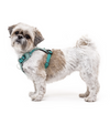 Ruffwear Hi & Light™ Lightweight Dog Harness