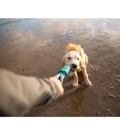 Ruffwear Pacific Loop™ Tug & Fetch Dog Toy (Aurora Teal)