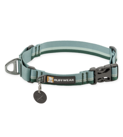 Ruffwear Web Reaction™ Reflective Buckled Martingale Dog Collar (River Rock Green)
