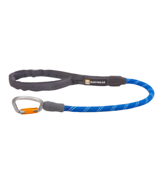 Locking leash hotsell