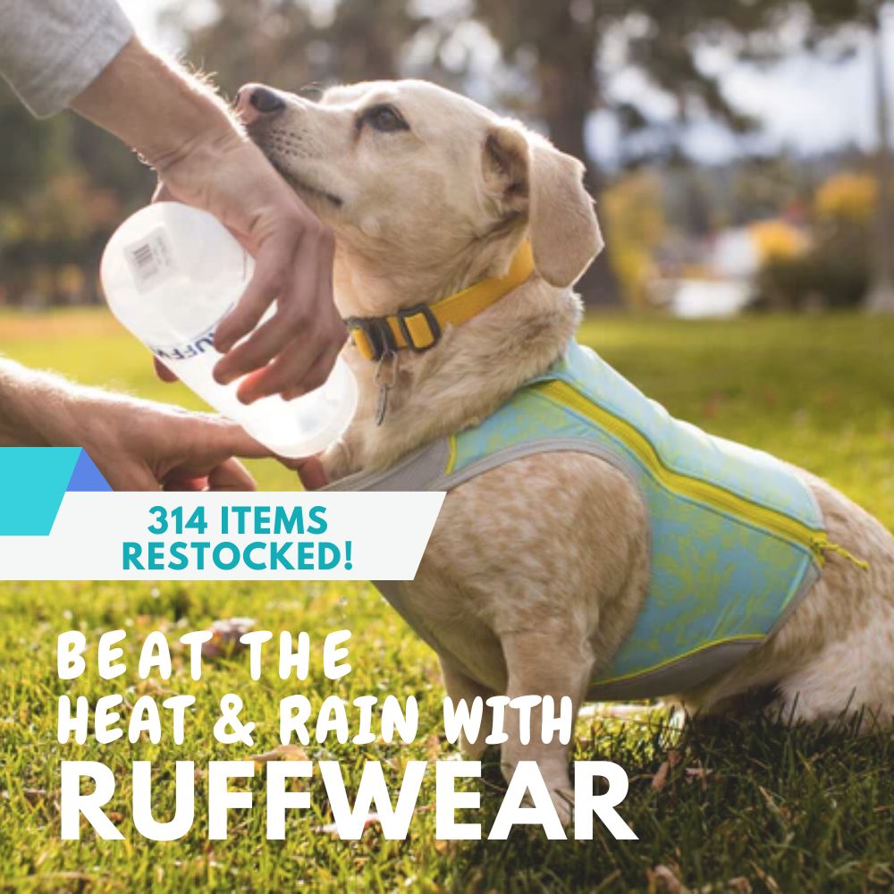 Buy Ruffwear Dog Harness & Outdoor Gear At Singapore's Best Online Pet Store | Good Dog People