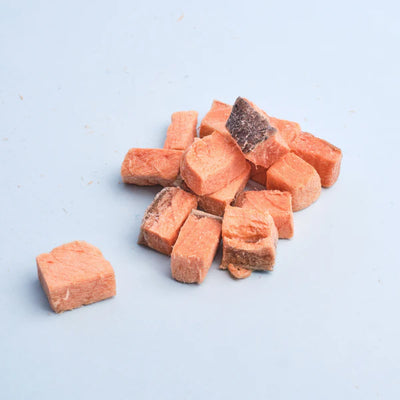 WildChow Freeze Dried Dog Treats (Salmon Bites)