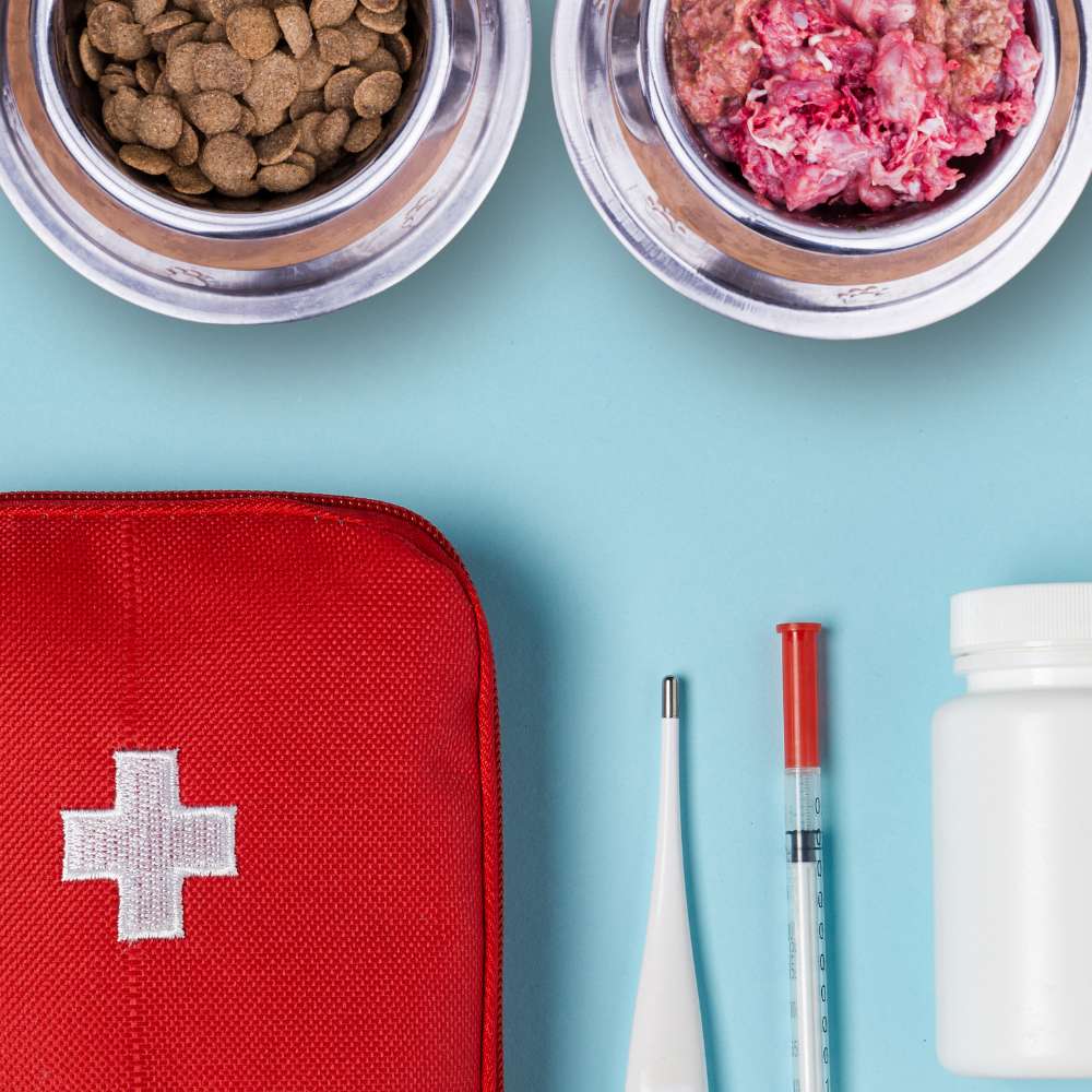 Same-Day Delivery With Good Dog People | Singapore's Best Online Pet Store