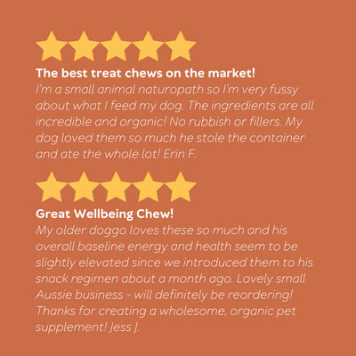Australian pet organics (Daily Wellbeing Vitamin Chew) Certified Organic Supplements for Dogs