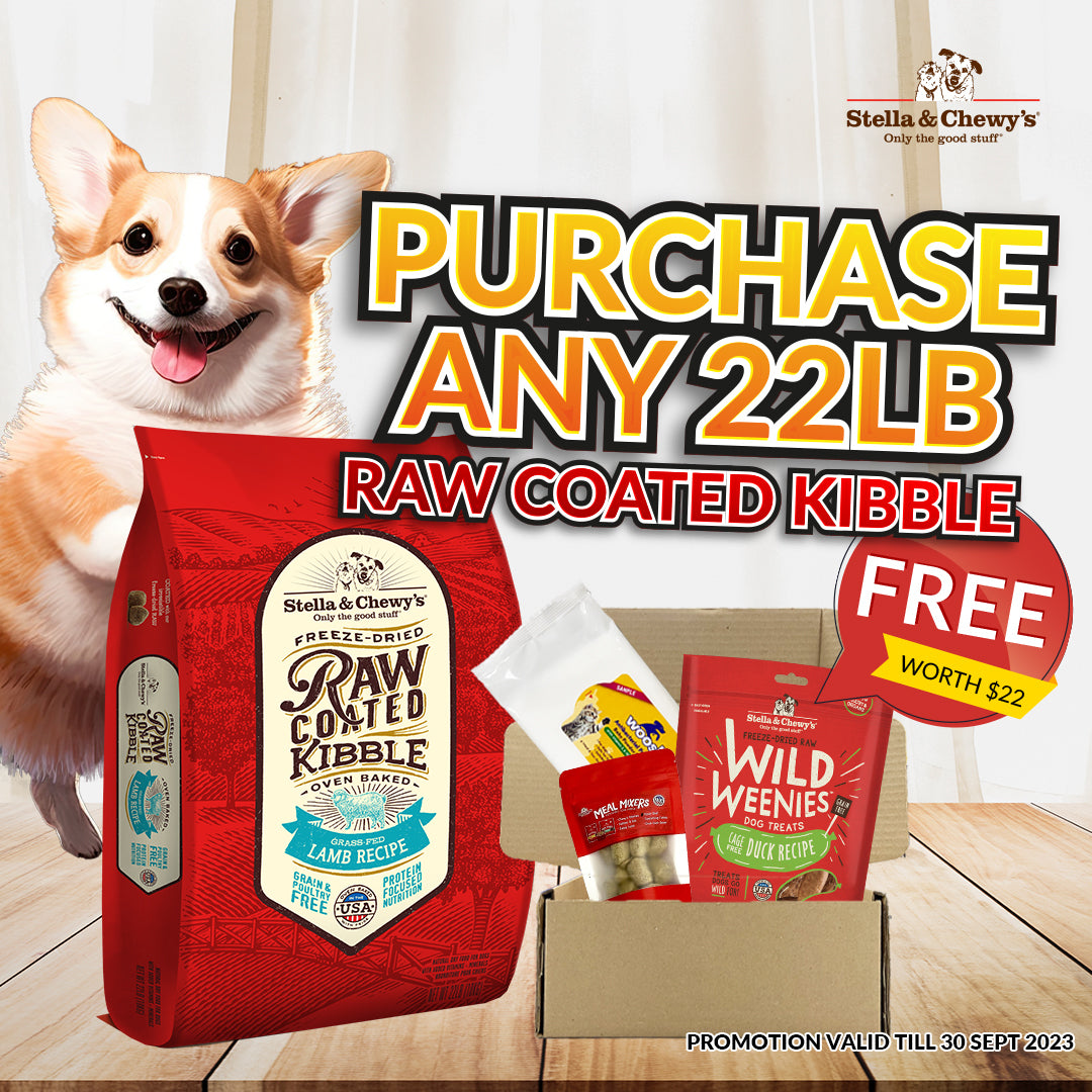 Buy Stella & Chewy's At Singapore's Best Online Pet Store | Good Dog People