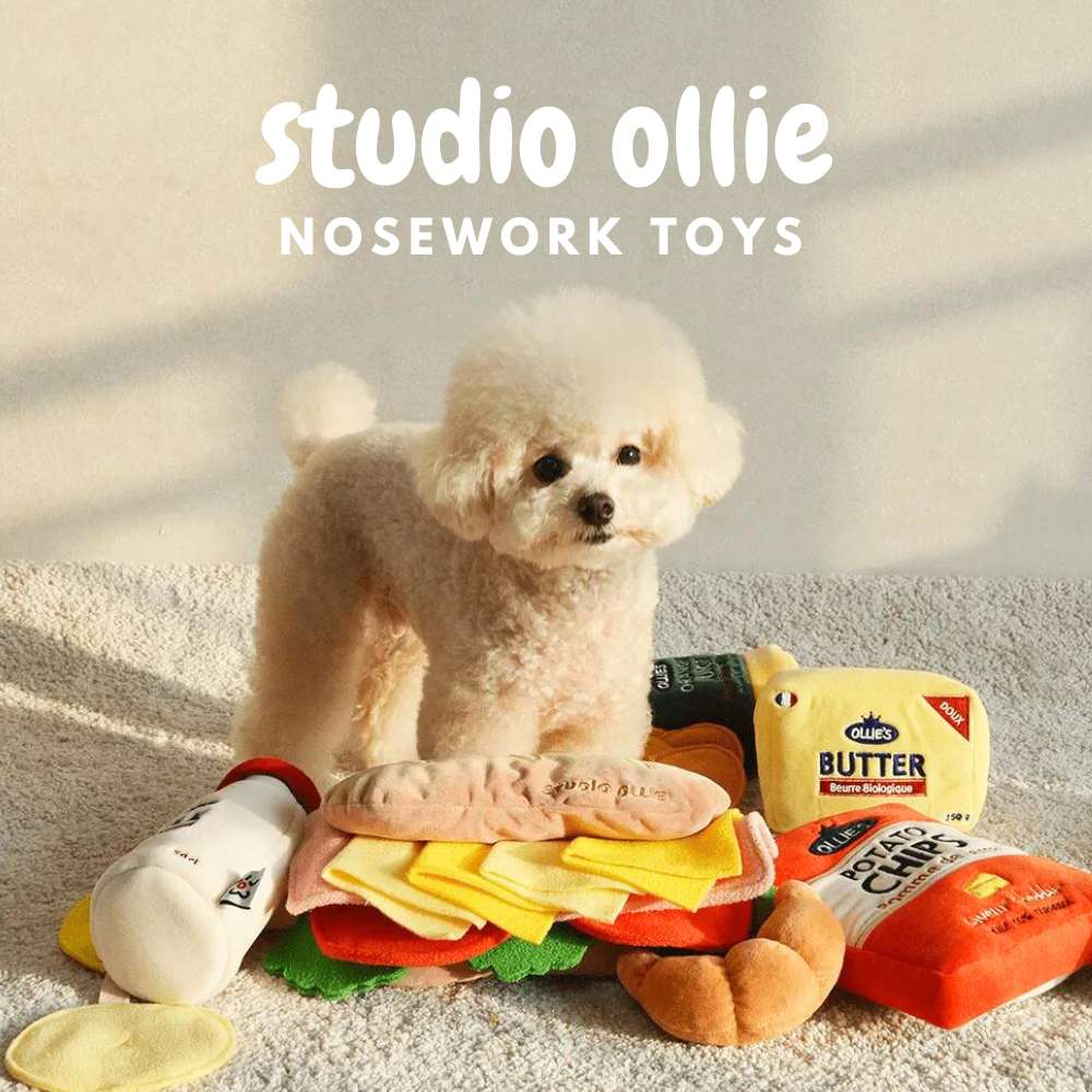 Buy Studio Ollie Nosework Toys At Singapore's Best Online Pet Store | Good Dog People