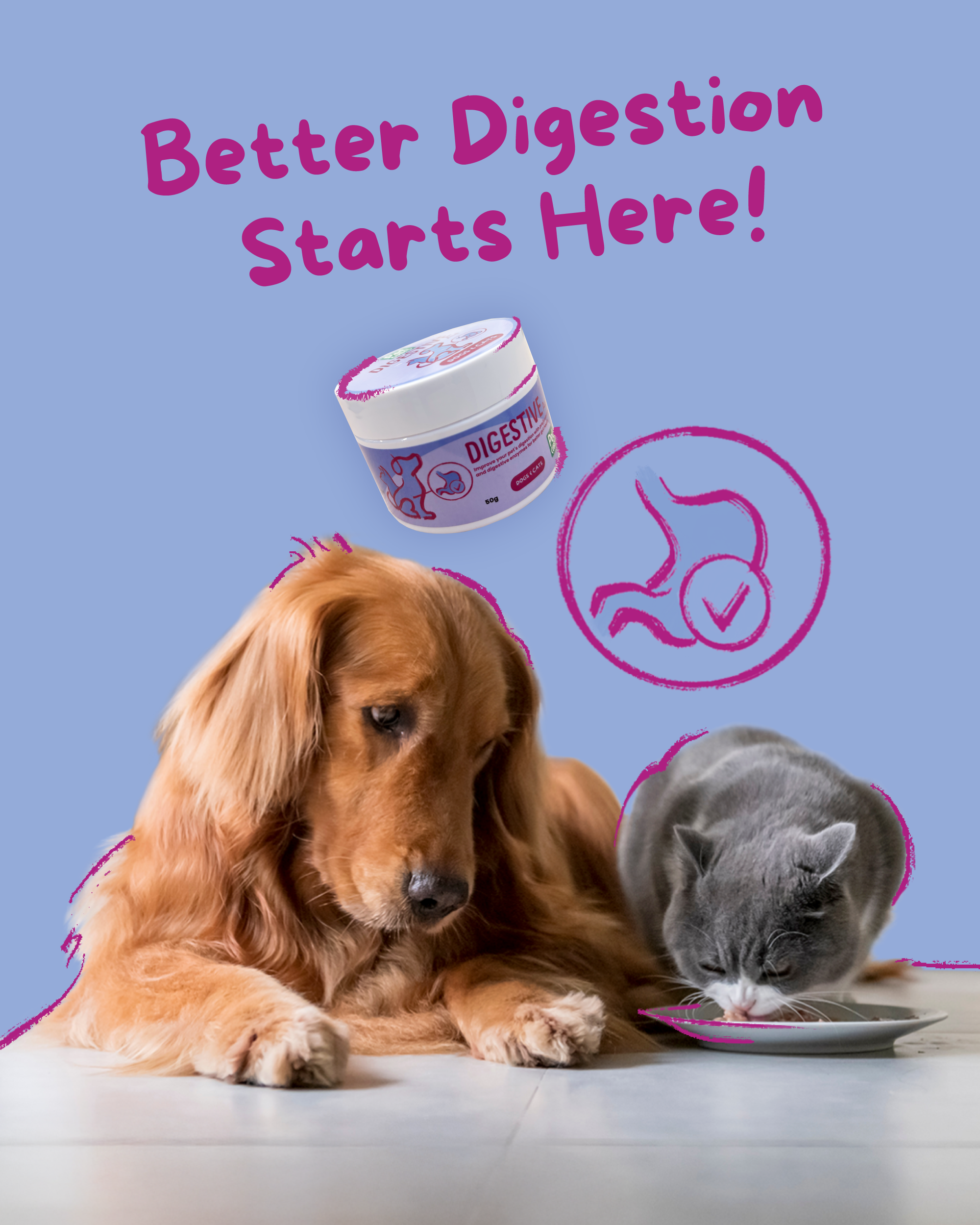 PetCubes Digestive Aid Supplement for Dogs & Cats