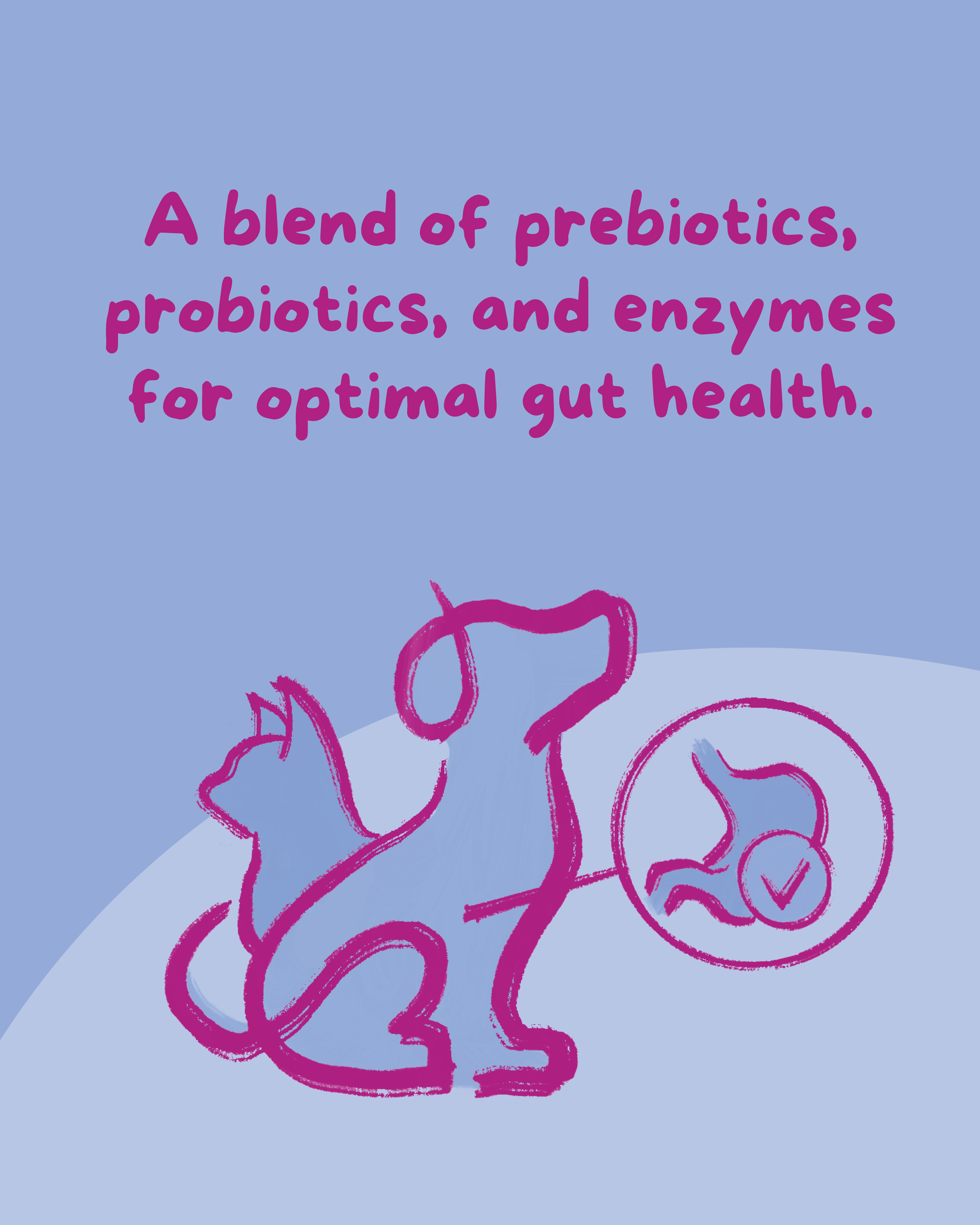 PetCubes Digestive Aid Supplement for Dogs & Cats