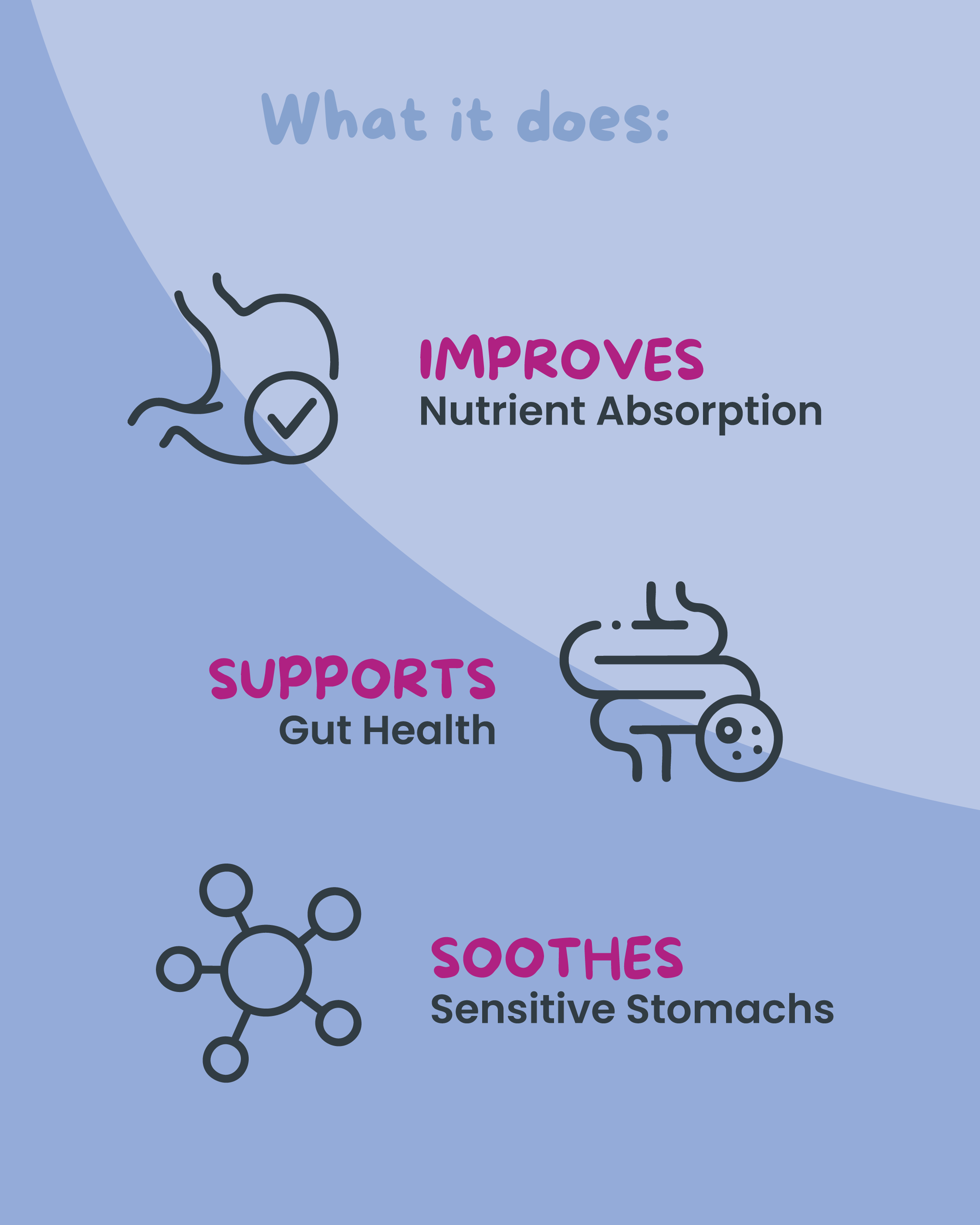 PetCubes Digestive Aid Supplement for Dogs & Cats