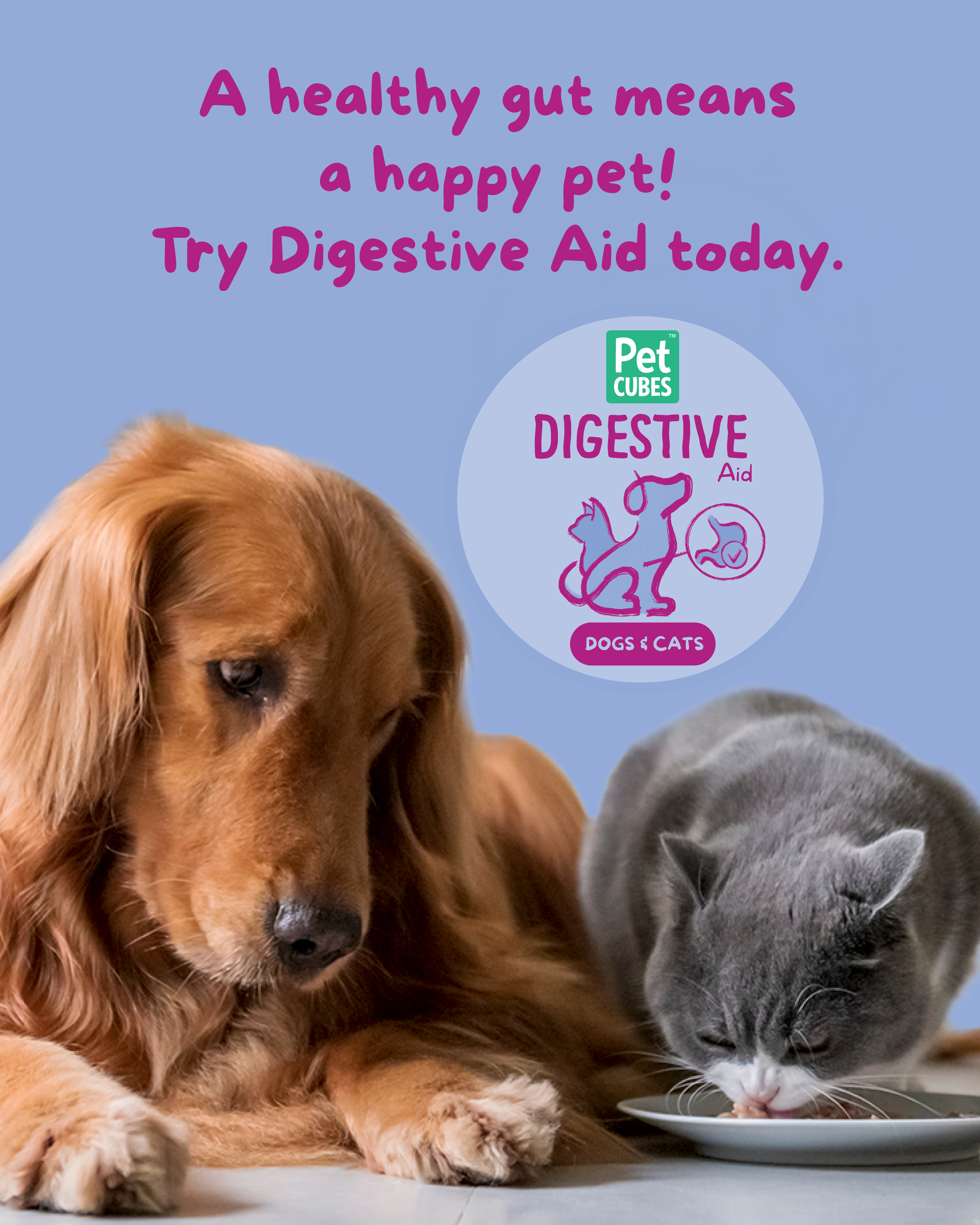 PetCubes Digestive Aid Supplement for Dogs & Cats