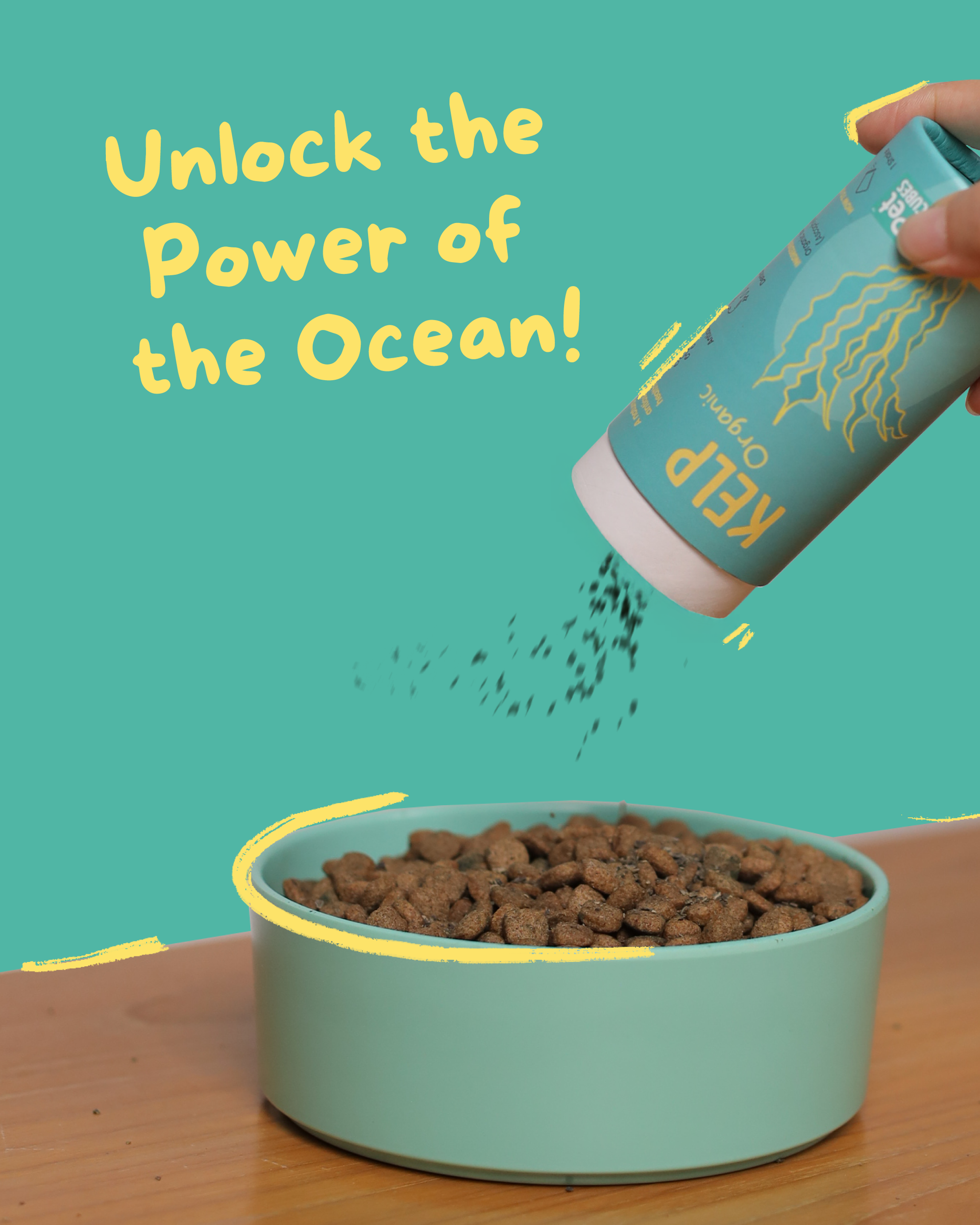 PetCubes Kelp Organic Supplement for Dogs & Cats