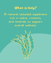 PetCubes Kelp Organic Supplement for Dogs & Cats