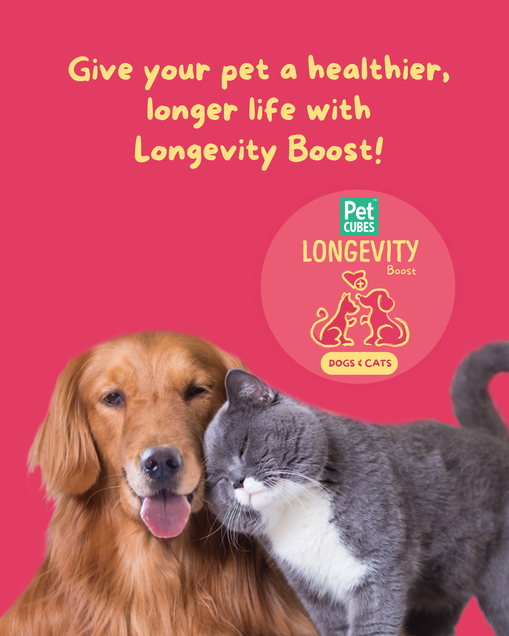 PetCubes Longevity Boost Supplement for Dogs & Cats