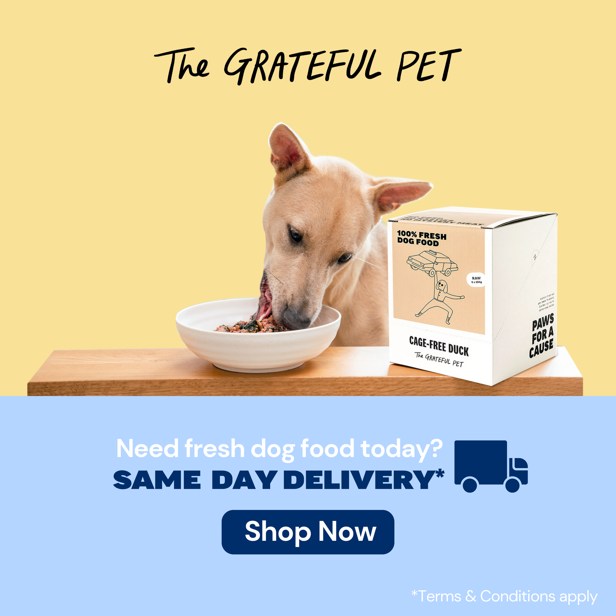 Buy The Grateful Pet Dog Food With Same-Day Delivery | Singapore's Best Online Pet Store: Good Dog People