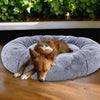 Zest Livings Bespoke Crafted Bed For Dogs & Cats (Toby)