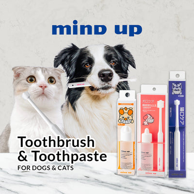 Mind Up Kenko Care Toothbrush for Dogs