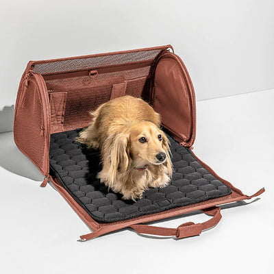 Wild One Travel Carrier (Cocoa)