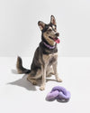 Wild One Chew Chain Crinkle Squeaky Dog Toy (Lilac)