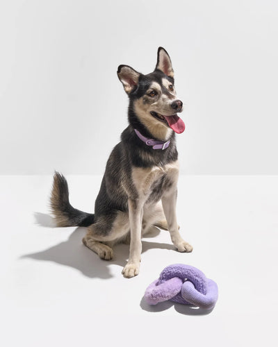 Wild One Chew Chain Crinkle Squeaky Dog Toy (Lilac)