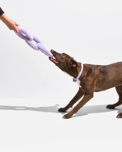 Wild One Chew Chain Crinkle Squeaky Dog Toy (Lilac)
